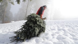 So idyllisch! Doch bis zur Ernte steckt viel Arbeit dahinter.