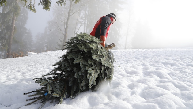 So idyllisch! Doch bis zur Ernte steckt viel Arbeit dahinter.