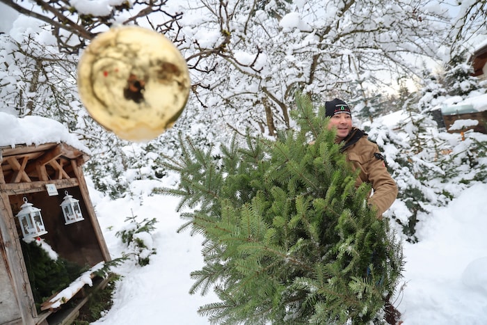 Die Tiroler Christbaumbauern kennen die Vorlieben der Familien.