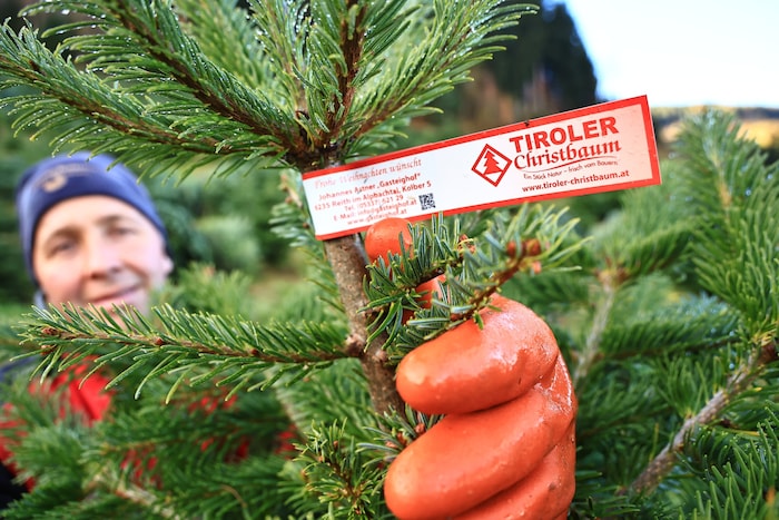An der roten Schleife kann man einen garantiert Tiroler Baum erkennen.