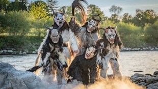 Die Edter TraunTeilfn 