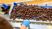 Pralinen, so weit das Auge reicht. Die Produktion für Weihnachten läuft auf Hochtouren.