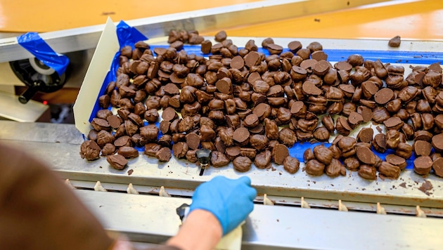 Pralinen, so weit das Auge reicht. Die Produktion für Weihnachten läuft auf Hochtouren.
