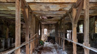 Der 80-Jährige wollte das Jungvieh im Stall beobachten.