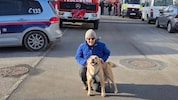 „Luxi“ mit ihrer Besitzerin – beide erfreut über den Sucherfolg. Eine Knackwurst als Belohnung ...