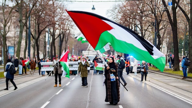 Amnesty International kritisiert die pauschale Verurteilung von pro-palästinensischen Protesten ...