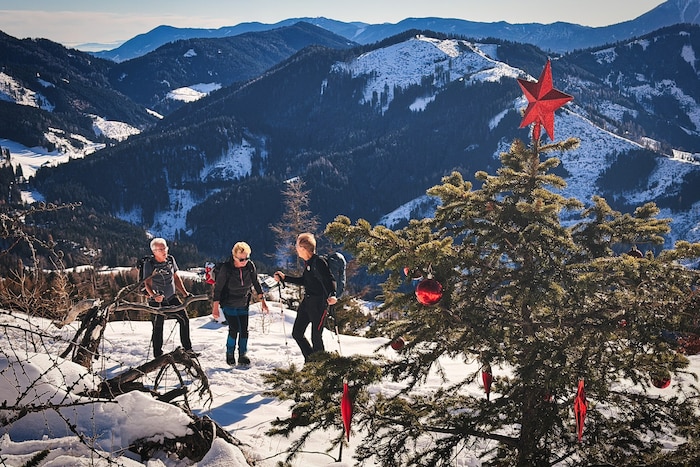 Ein schönes Zeichen: ein geschmückter Christbaum direkt am Wegesrand.