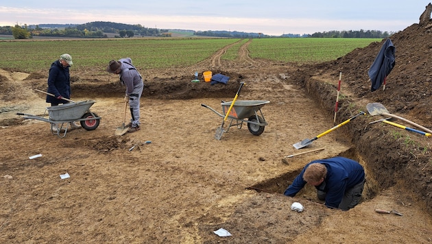 Grabung in Rechnitz: Auch beim jüngsten Versuch im vergangenen Herbst wurde das Massengrab mit ...