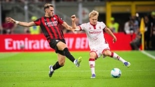 Braunöder (re.) will mit Bari wieder in die Spur finden.