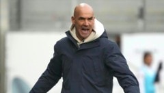 Fuchsteufelswild: Letsch.