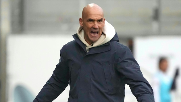 Fuchsteufelswild: Letsch.