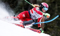 Katharina Gallhuber