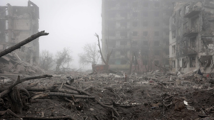 Nach der russischen Invasion der Ukraine vor fast vier Jahren hatte die EU russische ...