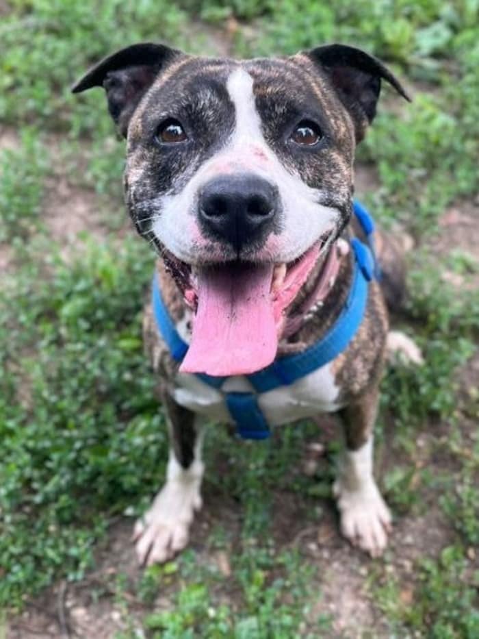 Lebensplatzerl gesucht.