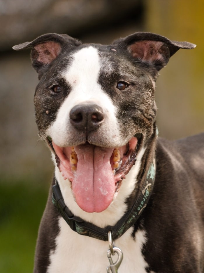 Er hat nichts falsch gemacht – und trotzdem alles verloren.