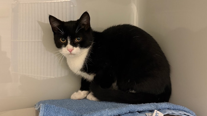 Schon im August zugelaufen