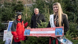 Die Obfrau der steirischen Christbaumbauern, Martina Lienhart, LK-Präsident Andreas Steinegger ...