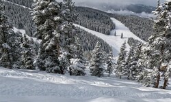 Zwei junge Wiener mussten am Sonntag vom Schneeberg (NÖ) gerettet werden (Symbolbild).