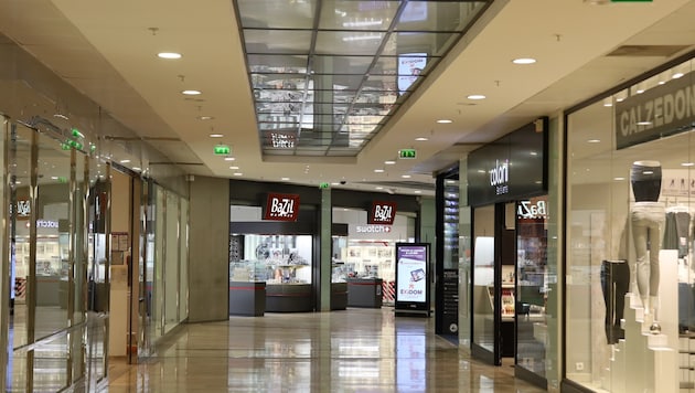 Das Trio drang Sonntagnacht gewaltsam in sieben Geschäfte eines Wiener Einkaufszentrums ein.