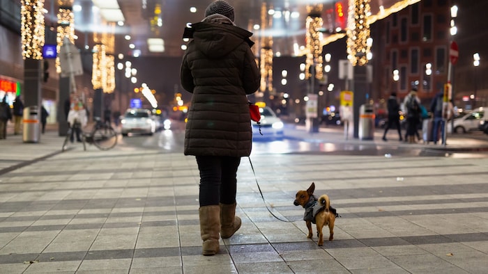 Befreiungen – etwa für einkommensschwache Personen oder für Hunde aus dem Tierheim – sind ...