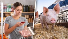 Augen auf beim Einkauf! Weniger als ein Viertel der Schweine haben vor dem Weg ins Schlachthaus ...