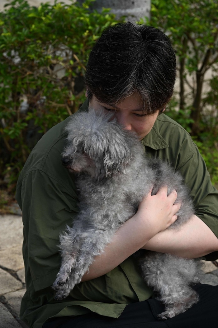 Der 15 Jahre alte Pudel Jason konnte von Feuerwehrmännern aus den Flammen gerettet werden.