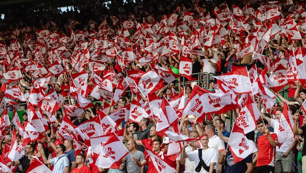 Neben zahlreichen Fans wird das ÖFB-Team auch von Sicherheitskräften begleitet …