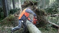 Forstarbeiten sind gefährlich. Jedes Jahr kommt es zu mehr als 1000 Unfällen in Österreich, Jahr ...