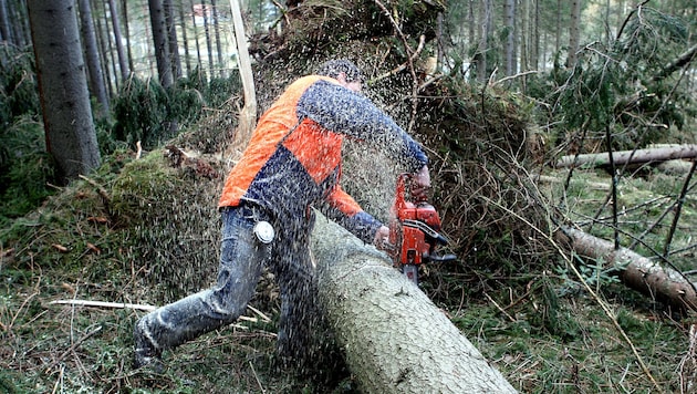 Forstarbeiten sind gefährlich. Jedes Jahr kommt es zu mehr als 1000 Unfällen in Österreich, Jahr ...