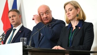 Die Österreicher verlieren den Glauben an die Demokratie – ein Warnsignal für die Expertin.