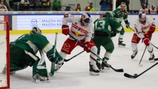 Im ersten Treff siegten die Bulls um Troy Bourke (M.) im Volksgarten mit 7:2.