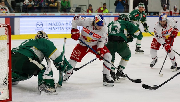 Im ersten Treff siegten die Bulls um Troy Bourke (M.) im Volksgarten mit 7:2.