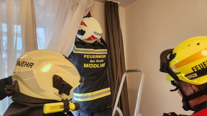 Sie wurden behutsam eingefangen.