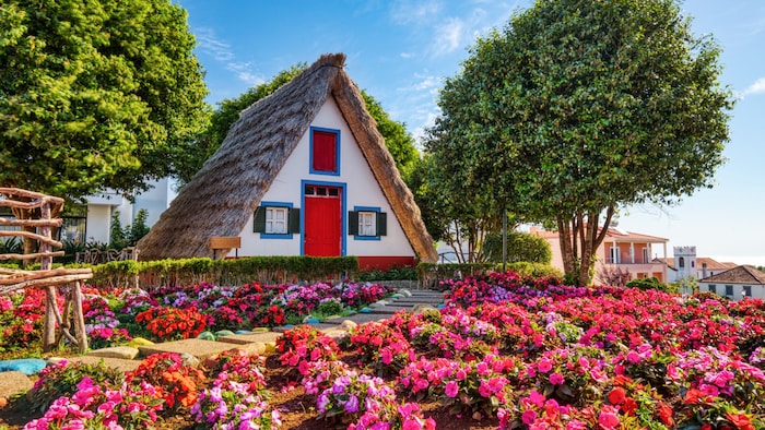 Die typischen Strohhäuser von Santana: ein charakteristisches Stück Madeira-Tradition.