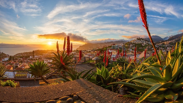 Der Archipel ist vulkanischen Ursprungs: Üppige Vegetation und atemberaubende Steilküsten prägen ...