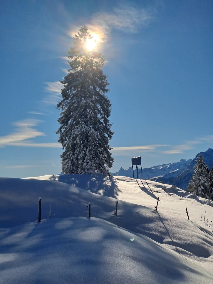 „Der Feige Hochstand“ von Marbod Fritsch.
