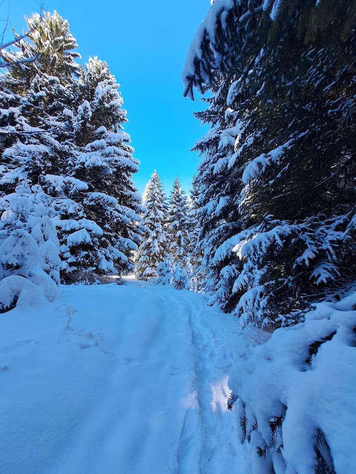 Unterwegs auf dem „Alpine Art Weg“.