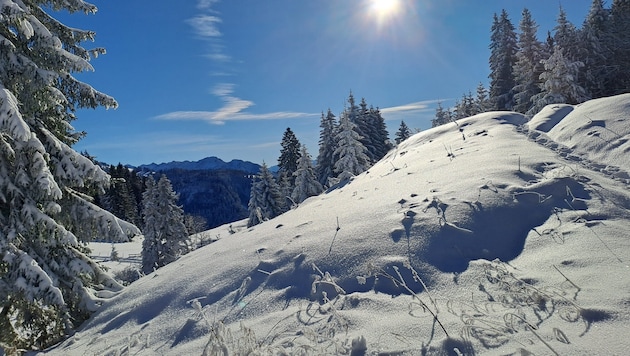 Der „Alpine Art Weg“ am Muttersberg in Bludenz.