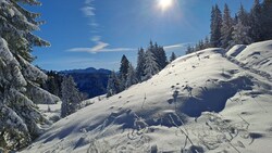 Der „Alpine Art Weg“ am Muttersberg in Bludenz.