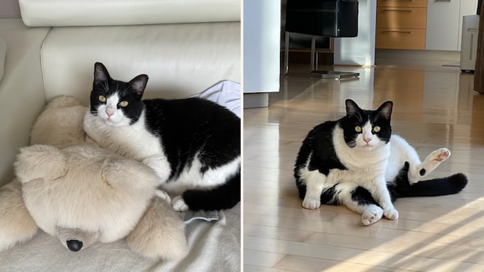 "Pauli", where are you?