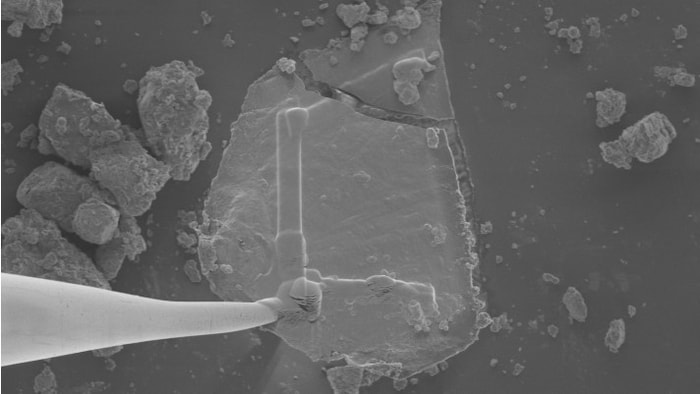 Forscher präparieren unter dem Elektronenmikroskop ein nur 30 Mikrometer großes ...