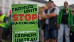 Landwirte protestieren gegen das geplante Abkommen vor dem EU-Parlament.