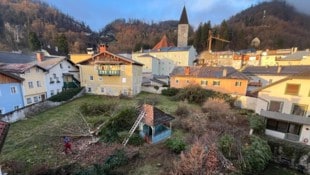 Auf diese Halleiner Grünfläche sollen mehrere Wohnungen kommen, die ersten Bäume sind bereits ...