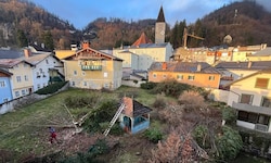 Auf diese Halleiner Grünfläche sollen mehrere Wohnungen kommen, die ersten Bäume sind bereits ...