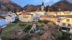 Auf diese Halleiner Grünfläche sollen mehrere Wohnungen kommen, die ersten Bäume sind bereits ...