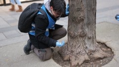 Ein Freiwilliger beim Müllsammeln Ende November. 