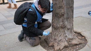 Ein Freiwilliger beim Müllsammeln Ende November. 