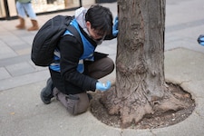 Ein Freiwilliger beim Müllsammeln Ende November. 