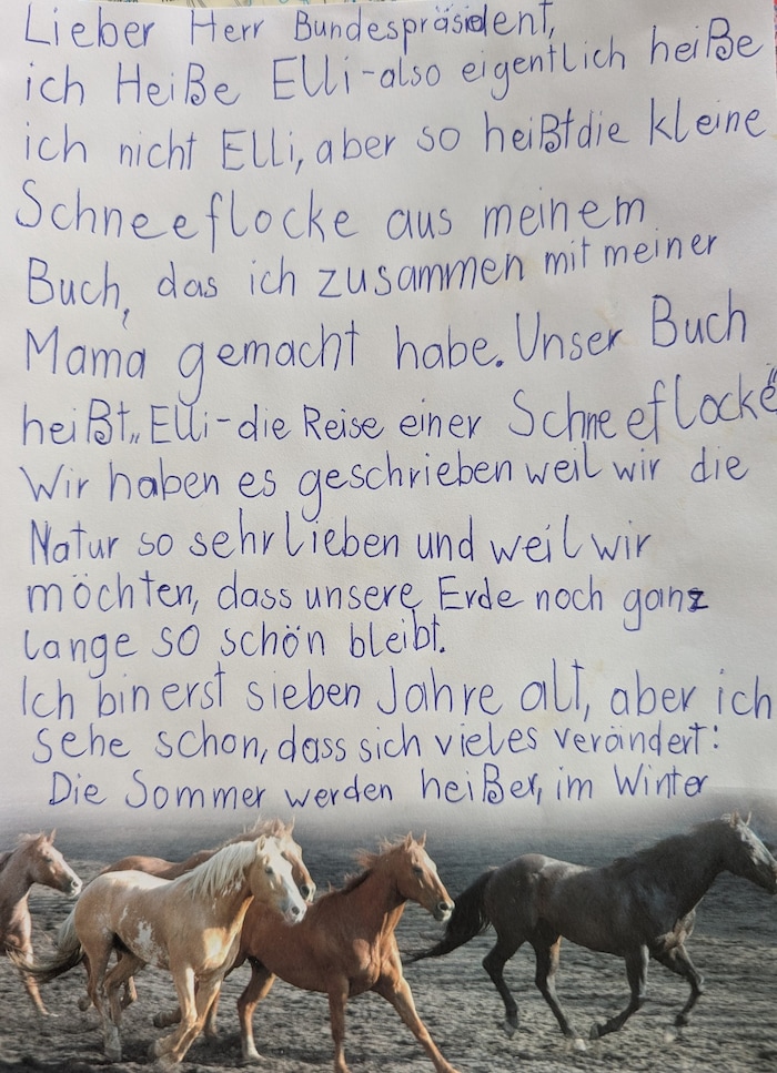Der Brief an den Bundespräsidenten