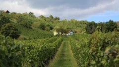 In betroffenen Gebieten wie Eisenberg laufen seit Wochen verstärkte Kontrollen.
